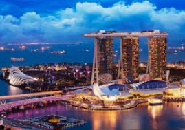 摇钱树捕鱼下载2024最新版